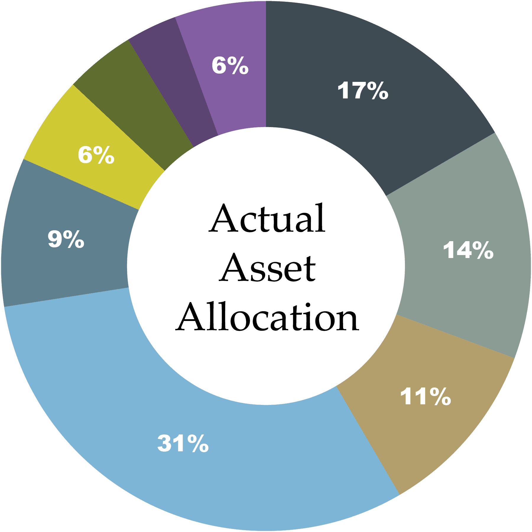 Actual Asset Allocation 2021