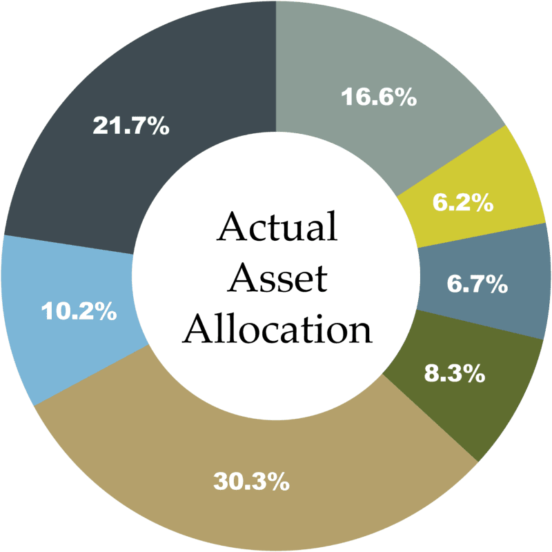 Actual Asset Allocation 2023