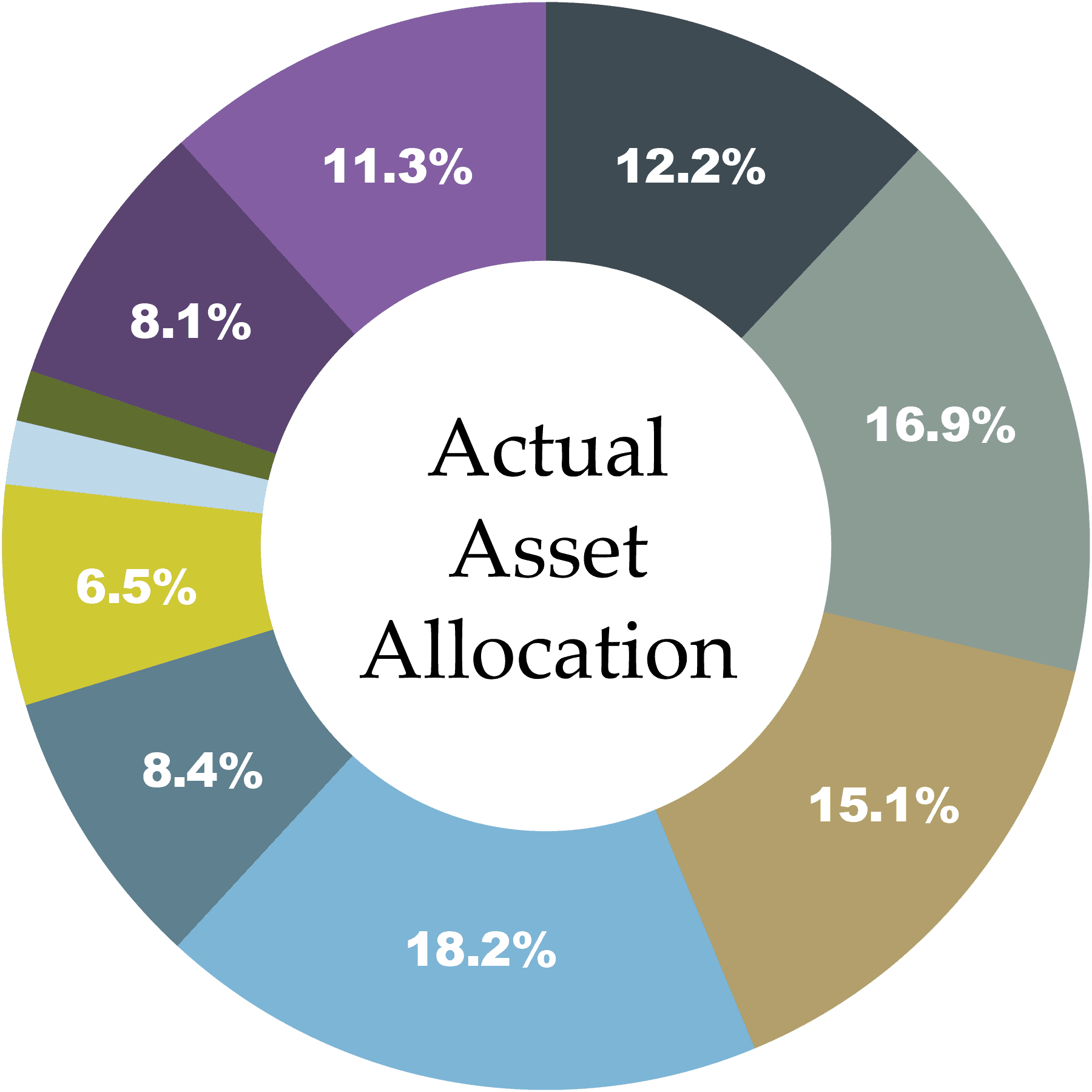 Actual Asset Allocation