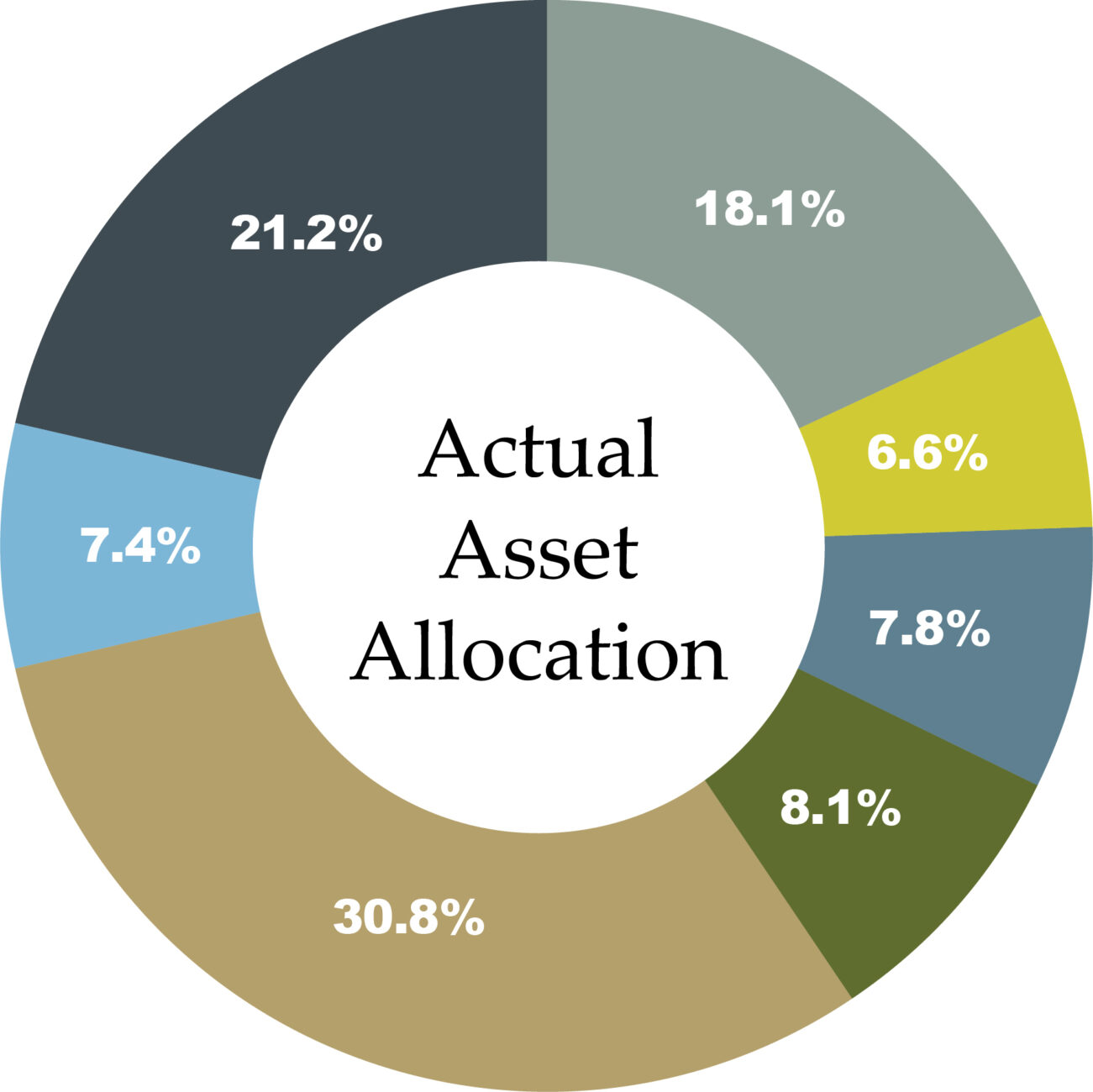 Actual Asset Allocation 2021